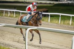 20251023-190057-DSC_6203