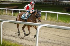 20251023-190057-DSC_6211