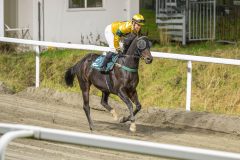 20251023-190118-DSC_6225