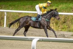 20251023-190119-DSC_6237