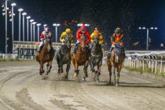 20251023-190645-DSC_6315