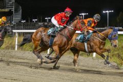 20251023-190648-DSC_6354