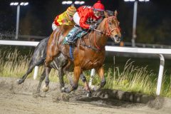 20251023-190812-DSC_6405