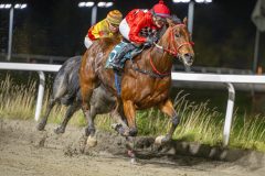 20251023-190812-DSC_6406