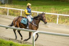 20251023-192623-DSC_6457