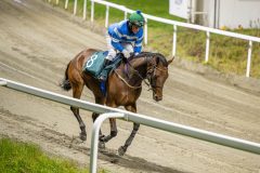 20251023-192626-DSC_6464