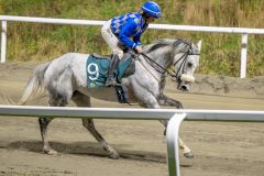 20251023-192633-DSC_6522