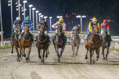 20251023-193350-DSC_6663