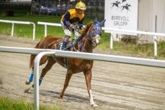 20251023-195302-DSC_6871