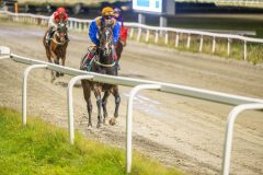 20251023-195310-DSC_6882