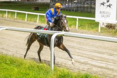 20251023-195312-DSC_6898