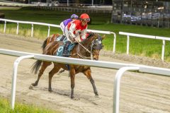 20251023-195313-DSC_6906