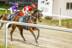 20251023-195313-DSC_6914