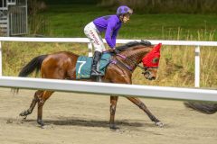 20251023-195314-DSC_6927