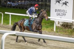 20251023-195320-DSC_6951