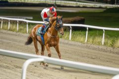 20251023-195343-DSC_6975