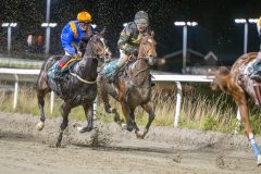 20251023-195848-DSC_6995