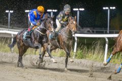 20251023-195848-DSC_6999