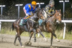 20251023-195848-DSC_7007