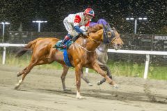 20251023-195849-DSC_7023