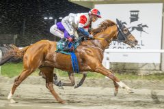 20251023-195850-DSC_7030