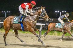 20251023-200019-DSC_7122