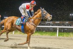 20251023-200020-DSC_7128