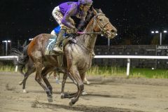 20251023-200021-DSC_7139