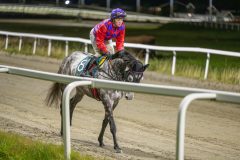 20251023-201816-DSC_7173