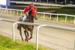 20251023-201824-DSC_7194