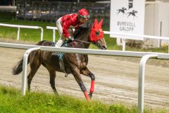 20251023-201825-DSC_7207