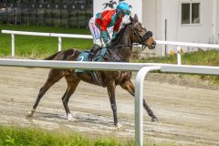 20251023-201831-DSC_7237