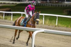 20251023-201908-DSC_7305