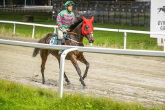 20251023-201916-DSC_7354