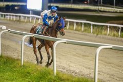 20251023-201927-DSC_7383