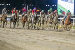 20251023-202453-DSC_7425