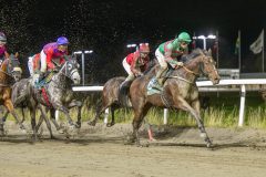 20251023-202456-DSC_7446