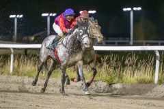 20251023-202632-DSC_7524