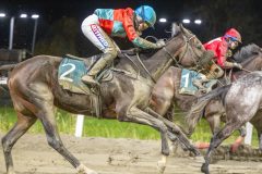 20251023-202634-DSC_7554