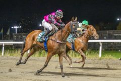 20251023-202635-DSC_7569