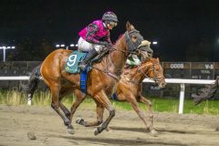 20251023-202635-DSC_7572