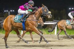 20251023-202635-DSC_7575