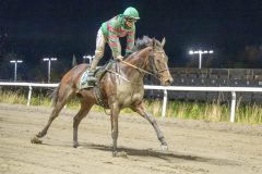 20251023-202638-DSC_7585