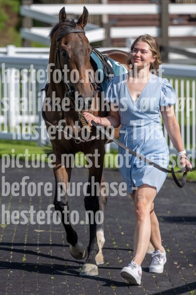 20250627-171942-DSC6060