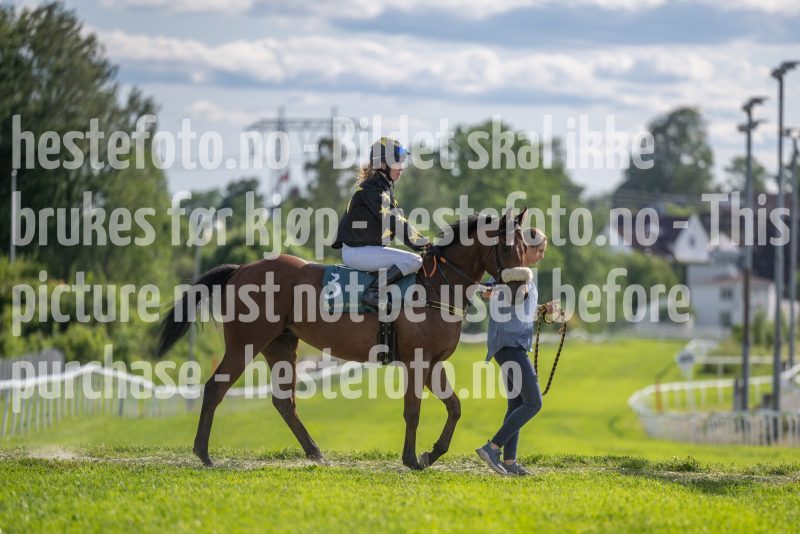 20250627-172143-DSC6114