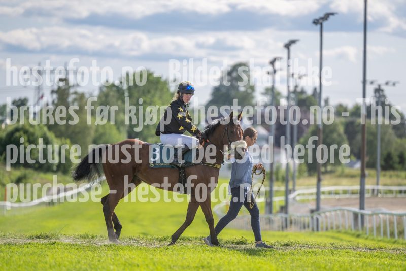 20250627-172144-DSC6121