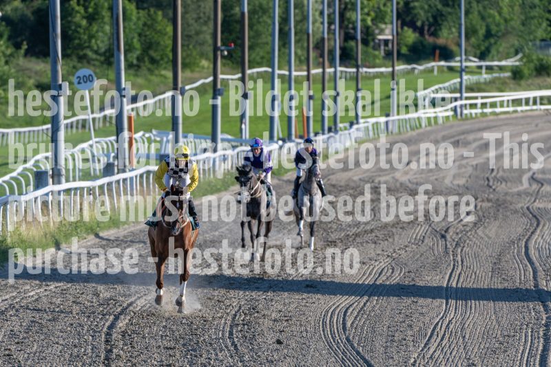 20250627-201836-DSC_8185