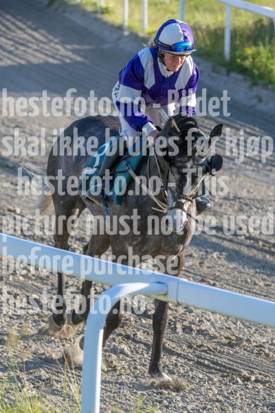 20250627-201856-DSC_8294