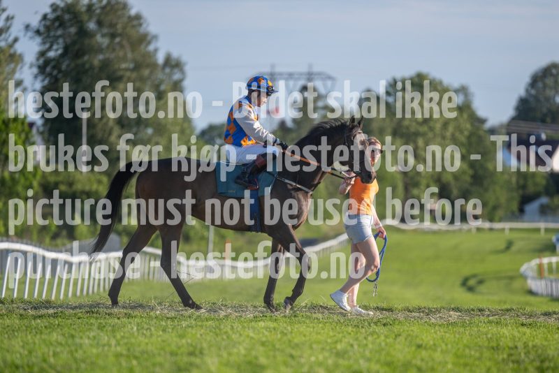 20250627-201933-DSC8173