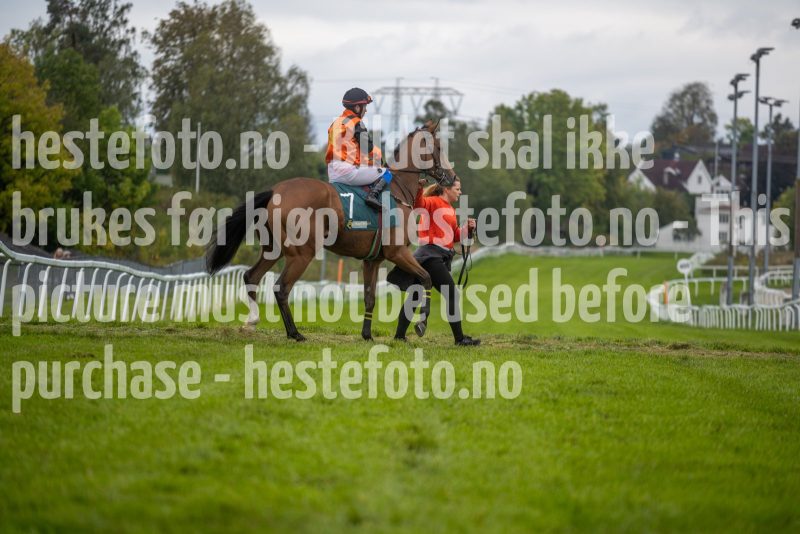 20250928-135642-DSC5965